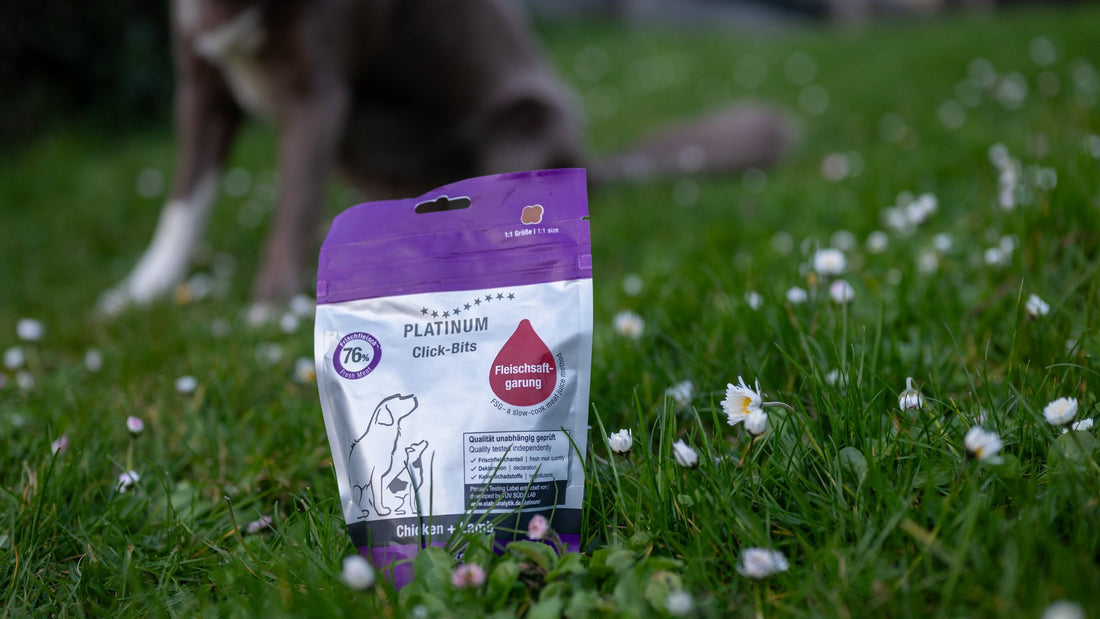 PLATINUM Click-Bits snack pouch on the grass with dog