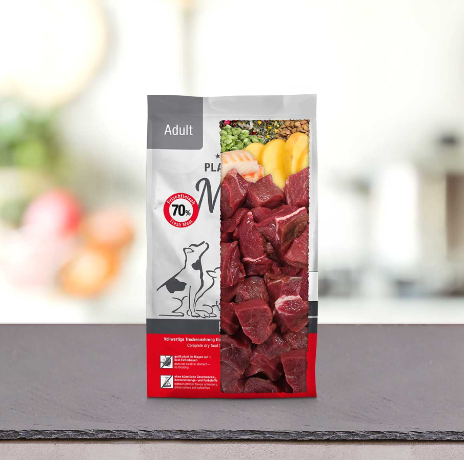Adult beef mini