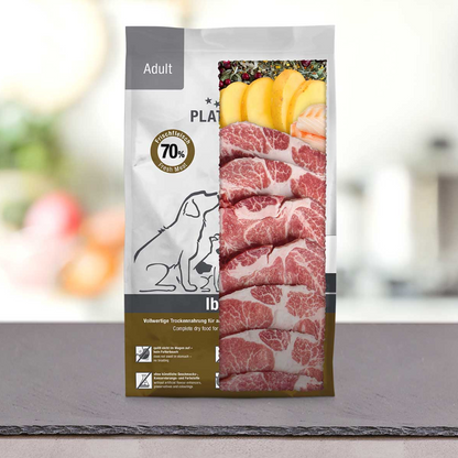 Adult iberico