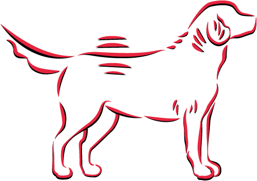 Vetactive hypoallergenic