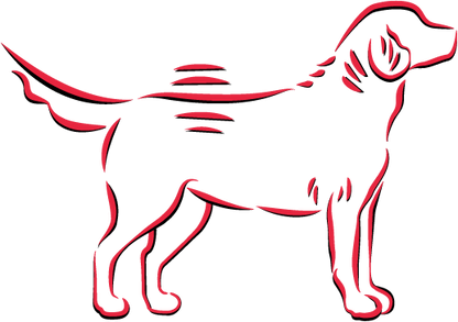 Vetactive hypoallergenic