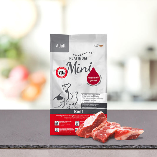Adult lamb mini