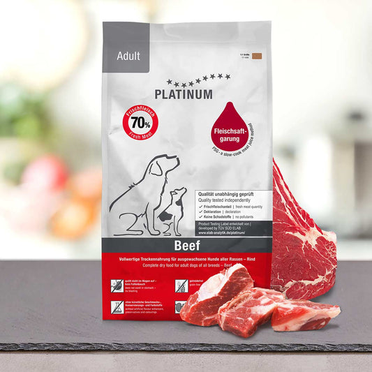 Adult lamb
