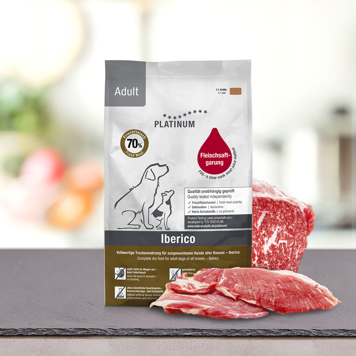 Adult iberico