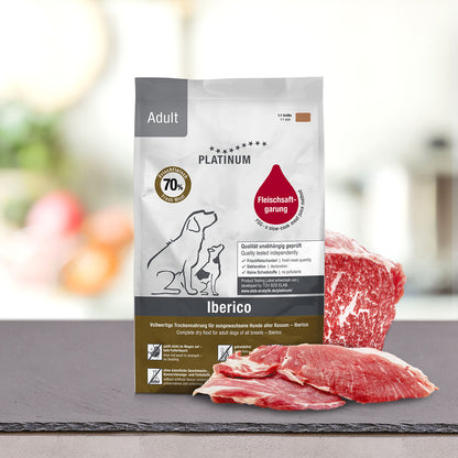 Adult iberico