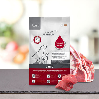 Adult lamb