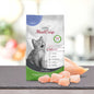 Kitten - MeatCrisp chicken