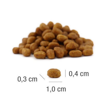 Kitten - MeatCrisp chicken