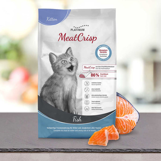Kitten - MeatCrisp fish